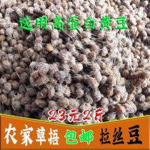 Stinky beans Shandong Linyi fresh sauce beans hand-brushed salt beans Homemade grass cover Natto radish pickle seasoning