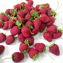 Simulation plastic strawberry fake fruit vegetable model props high simulation strawberry decorations teaching photography props