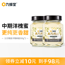 Jiufangtang Acacia Honey 500g May Sophora Honey Pure Natural Farmers Self-produced Sophora Nectar Maternity Honey