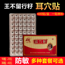 Wang does not leave the seed cave patch anti-allergy press ear potato label ear pill with ear model magnetic bead