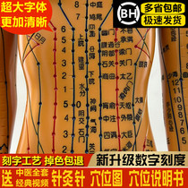 Acupuncture manikin body household traditional Chinese medicine (TCM) twelve Meridian fig small leather people silicone needles practice Tong Ren