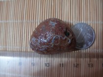 Nine-eye shale raw stone eye stone gold money Stone