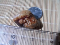 Alxa Gobi Qishi Meridional stone Vein stone Rough stone Pictogram pendant