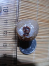 Nine-eyed shale stone eyes Stone gold stone beads