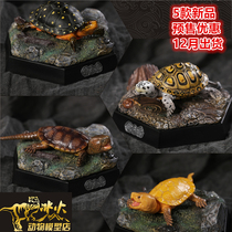 World tortoise heart series Palm treasure mini turtle model resin turtle statue turtle KG adult collection ornaments spot