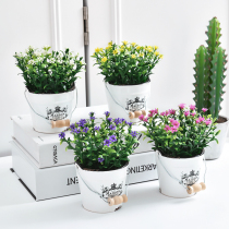 Creative home small fresh simulation plant fake grass potted green plant fleshy fake flower ornaments Living room desktop decorations