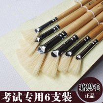  Exam special bristle fan-shaped pen acrylic gouache pen oil painting pen watercolor pen set of 6