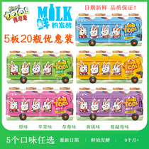5 plates 20 bottles US brand Kenny rabbit lactic acid bacteria drink fresh milk fermented lactic acid bacteria baby juice drinks