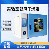 (One Heng) drying oven laboratory 9030A oven industrial electronic electric heating constant temperature blast drying oven