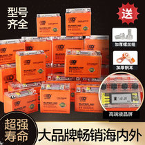 Motorcycle Battery 12v Peugeot Ginger 150 Guangyang G150 Kawasaki Z650 Little Fire God Kaiyue 500X Battery