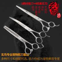 Xuan bird professional pet scissors straight scissors curved scissors tooth scissors Dog VIP Teddy bear beauty hair trimmer set