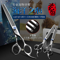 Xuanbird Professional Pet Scissors Repair Hair Cut Beauty Scissors Dog Cat Shave Hair Cut 7 5 6 5 Inch Tooth Cut Thin Cut
