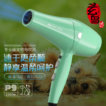 Xuan Bird pet hair dryer Bath blow dry Hair blowing artifact High-power silent water blower for dogs and cats