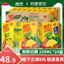 Vita Lemon Tea 250ml*24 boxes Chrysanthemum Tea Low sugar lemon Tea Iced summer lemon tea drink