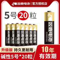 Double Deer No. 5 20 Alkaline High Energy No. 5 Mercury-free dry battery AA large Package 1 5v childrens toys