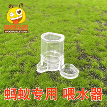 Ant water feeder Wet and dry acrylic water feeder Cricket water feeder Reptile feeding basin