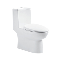 Common toilet HC0119PT of Hengjie bathroom HC0119PT