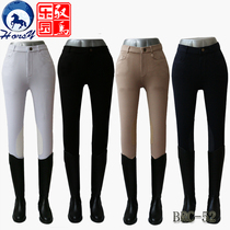 horsy equestrian breeches summer professional horse riding breeches super elastic and comfortable equestrian equipment men and women with the same riding outfit
