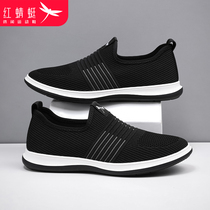 Red dragonfly mens shoes Summer shoes Leisure sports pedal lazy shoes Mens cloth shoes fly woven mesh breathable deodorant