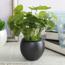 Zhigen high simulation plant bonsai multi-meat set office imitation desktop decoration small ornaments home decoration