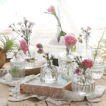 Net red mini transparent glass vase ornaments living room flower arrangement water raising ins style French light luxury small vase