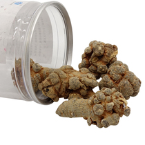 Yuxing Yunnan entire fleet of notoginseng radix et Rhizoma notoginseng 100 grams of a tank 5 is about 88 yuan