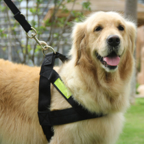 Reflective pet leash large dog medium dog rope dog chain golden hair Satsuma chest strap leash