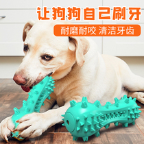 Dog toys Tooth cleaning Bite-resistant molar bite glue Medium and large dogs Golden Retriever Satsuma tooth cleaning and brushing supplies