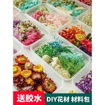 Mixed boxed dried flowers diy material bag handmade photo frame blank Group fan plant stickers floating bottle immortal petals