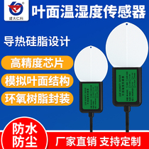 Leaf temperature and humidity sensor moisture transmitter RS485 leaf surface dew measurement humidity detector