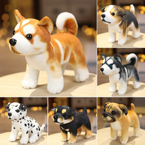 Simulation puppy plush toy husky Akita dog expensive dog doll children Doll Doll Childrens Day gift