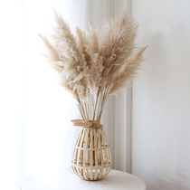 WULIHOME Reed dried flower big lantern bamboo weaving flower leather buckle vase desktop ornaments shop display soft