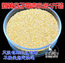 Parrot feed millet bird food feed tiger skin Xuanfeng Peony with Shell millet yellow grain bird grain 5kg