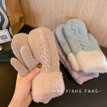 Gloves female winter Korean cute plush padded velvet mittens riding warm cold students soft girl tide