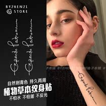Hushen guard herbal juice tattoo sticker half Harry Potter small fresh English waterproof shot one shot three