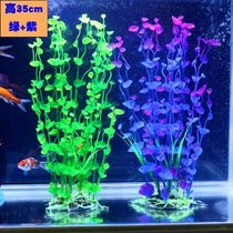 The decoration of the fish tank the simulation of the aquatic plant the plastic grass the fake flower the ornamental plant in the aquarium