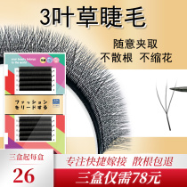 3 Leaf Grass 3D Second Automatic Flowering Grafting Eyelash Y-type Cultivation Beauty Mascara 0 05 Fake Eyelash Mountain Tea Flowers