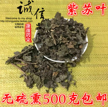 Chinese herbal medicine perilla leaves natural wild perilla leaves fishy grilled meat shrimp crab spice 500g