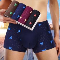 4-pack men's underwear boxers boxer waist pants head fashion printed polyester shorts boxer bottoms