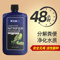 Fish tank water purifier water clear King disinfection a drop of water special purification special water clear agent clarification and cleaning