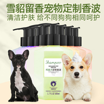 Pet Dog Dog dog body bath lotion Ferret Teddy Golden Hair special Deodorant Bath Lotion shampoo for Panda Mimi