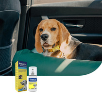 Frances ADAPTIL Love Datian Pooch Mood Soothing Spray Items Ring Suit Gold Materi Anti-Stress