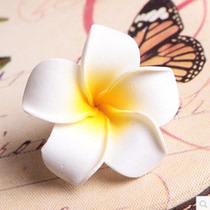 Korean flower hairclip Franky side clip bride seaside holiday with hairpin flower hairclip hair accessories