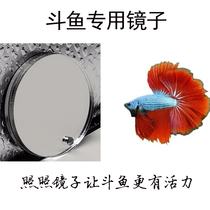 Betta special training mirror fish tank round water double-sided small mirror ponytail half-moon tank external suction cup mirror suspension ball