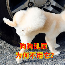 Anti-dog urine sprays Puppy Lurgy prevention of dog urinals Repellent Long-lasting Forbidden Zone Spray Outdoor dog Gods Instrumental