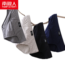 Antarctic people breathable cotton underwear men elastic breifs size Middle waist youth autumn and winter thick sexy pants tide