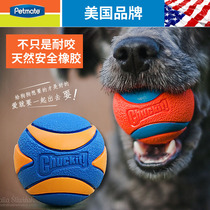 petmate bite-resistant pet toy dog dog toy molars sound toy ball puppies golden hair teddy dog supplies