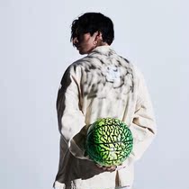 TACHIKARA ELEPHANT(New product listed in domestic spot)