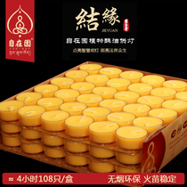 Free garden butter lamp 4 hours 108 plastic transparent shell plant ghee candle for Buddha Changming Buddha Temple