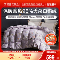 Rolaie Home Spun Down Quilt 95 White Goose Down Winter Quilted By Winter Spring Autumn Single Quilt Core Air Conditioning Autumn And Winter Two-in-one Quilt